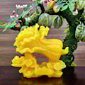 Bắp Cải size to 